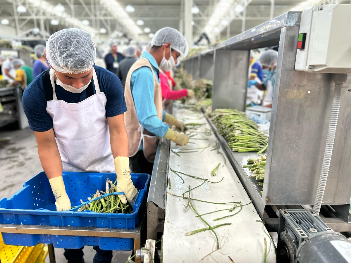 Hermosillo, Sonora; 7 de mayo de 2026.&ndash; Consolida Gobierno de Sonora liderazgo nacional en producci&oacute;n agroalimentaria