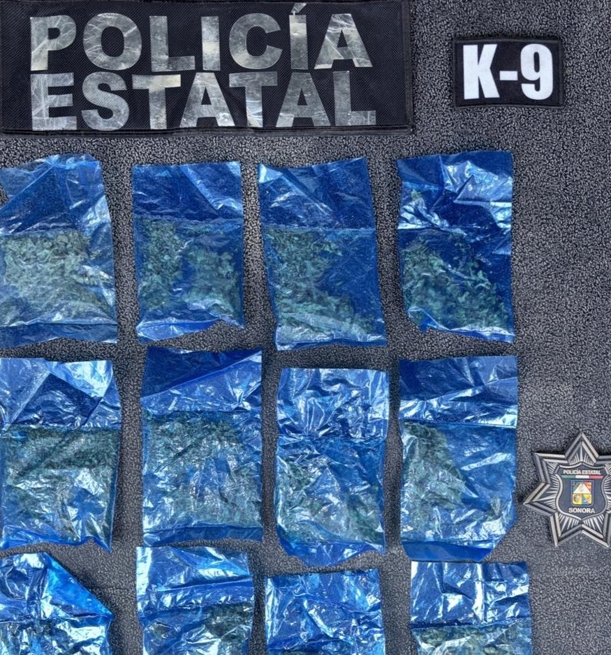 Hermosillo, Sonora; 8 de octubre de 2025.- Binomios K-9 de la Polic&iacute;a Estatal detectan narc&oacute;tico en Hermosillo